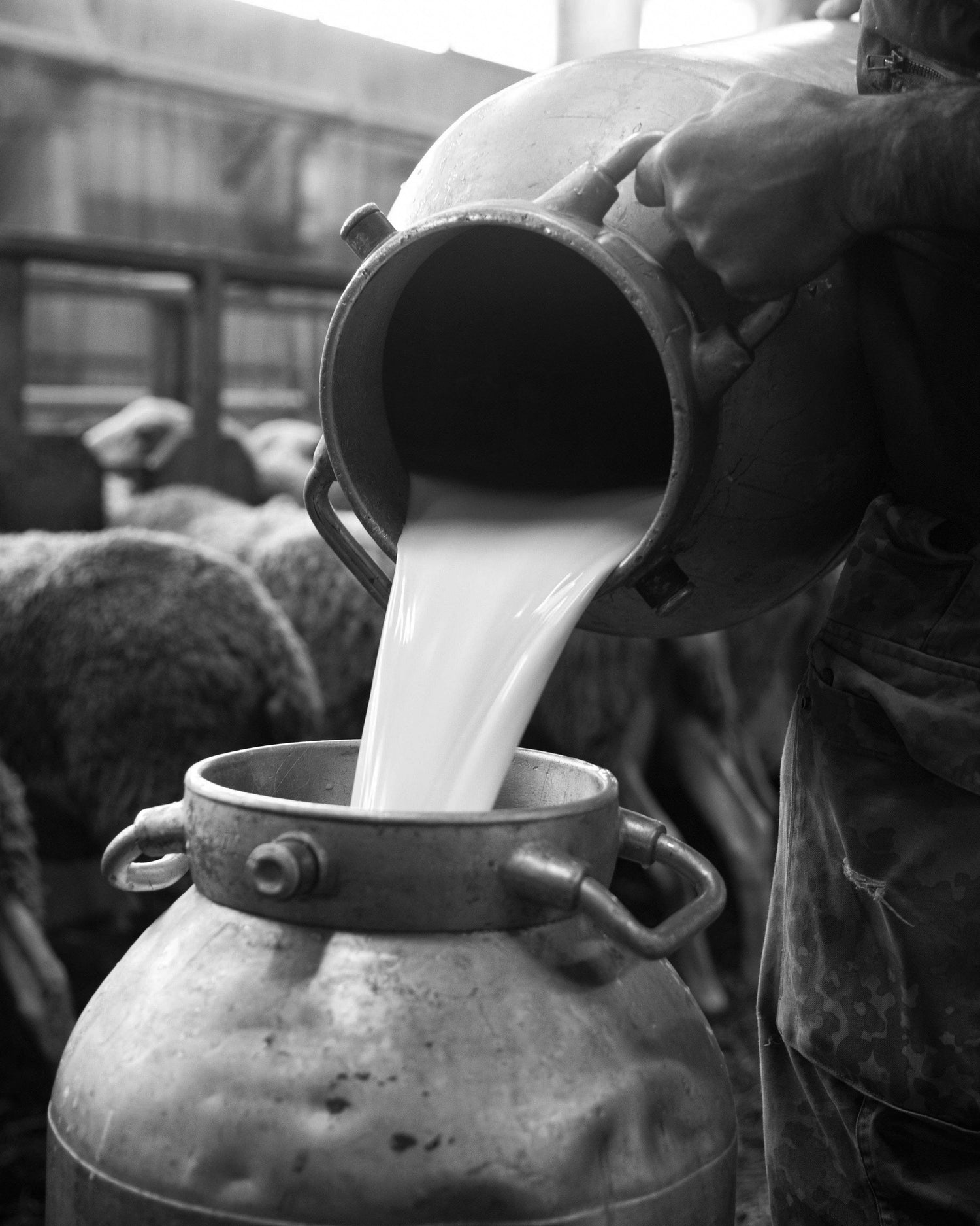 Formaggio - I casari